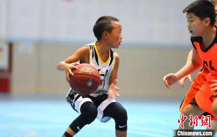大山里的篮球梦：“黑鹰少年”从四川凉山“飞”往CBA赛场