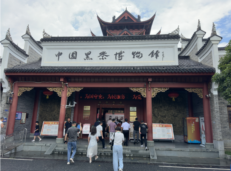 黑茶千年香，侨媒共品芳——海外华文媒体走进安化黑茶核心产区