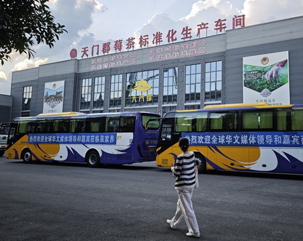 茶香里的张家界故事 —— 全球华文媒体高层湖南行首站  走进乾坤健康产业园