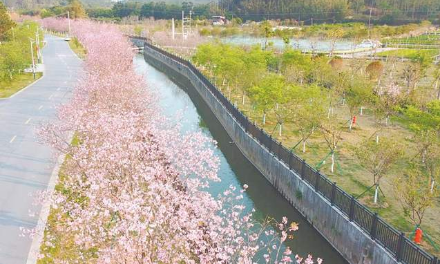 点上出彩 片上成景 带上成势 绿美乡村入画来 产业富民谱新篇